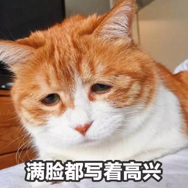 满脸都写着高兴QQ表情